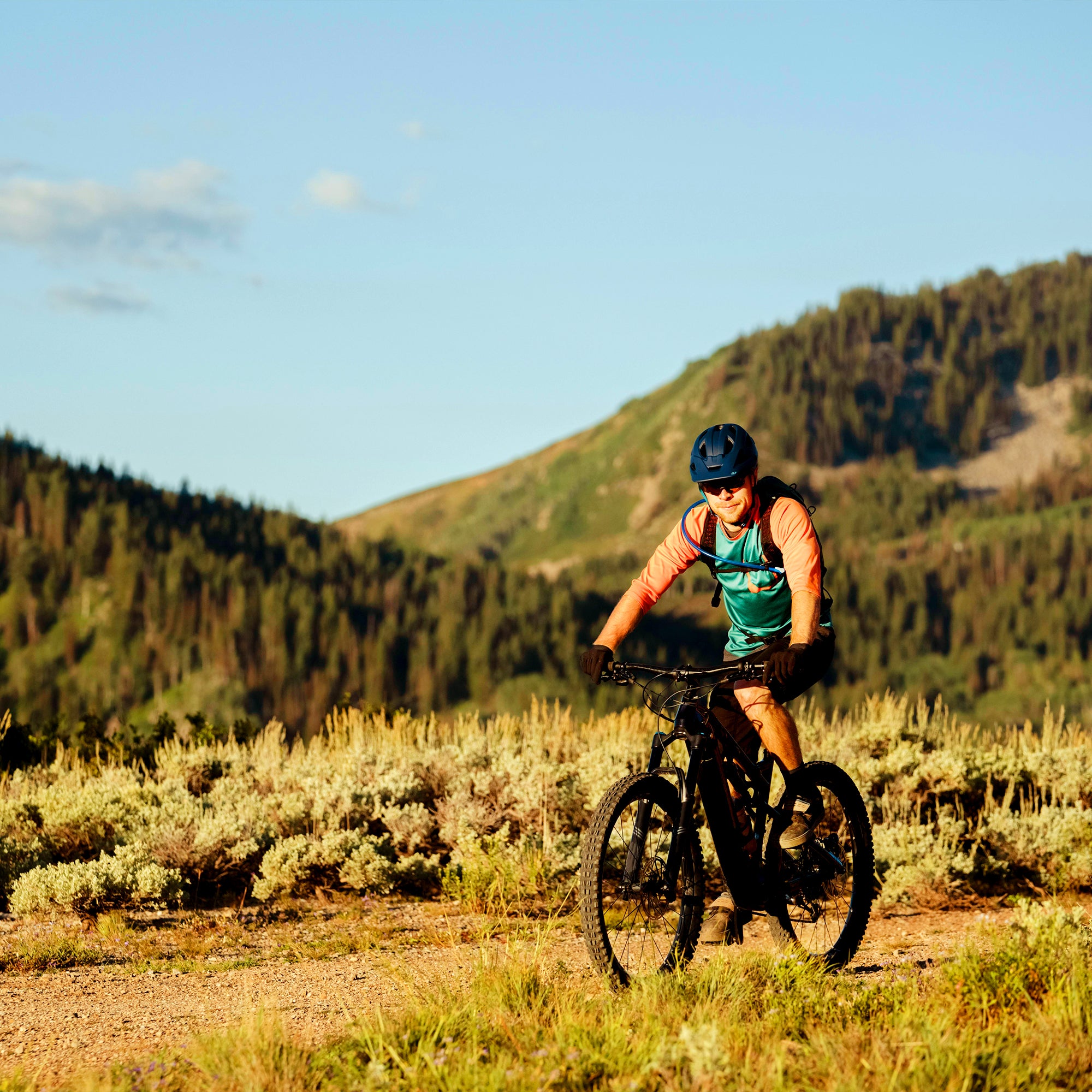 What is Pedal Assist?