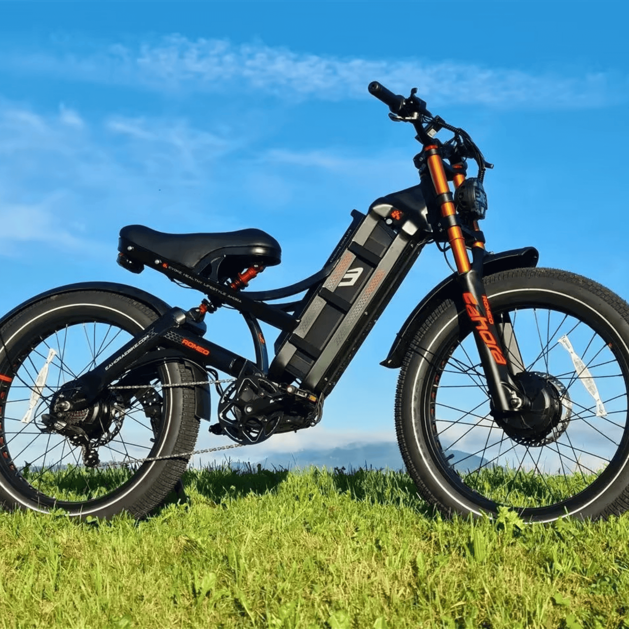 The Road Kings of 2025: First-Half’s Top 5 Best-Selling Eahora Ebikes