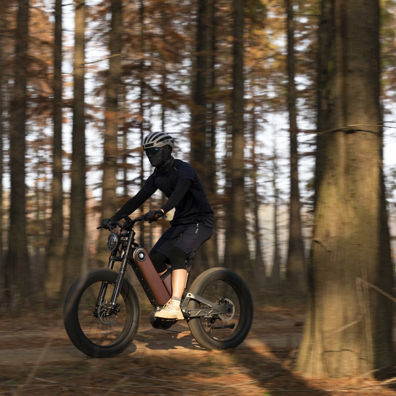 Comparing Motor Torque in Ebikes: How Different Torque Ratings Affect Riding Experience