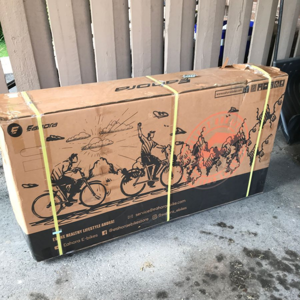 My Secret Santa Surprise: The 2025 Romeo Pro II & Juliet Pro eBikes Are Here!