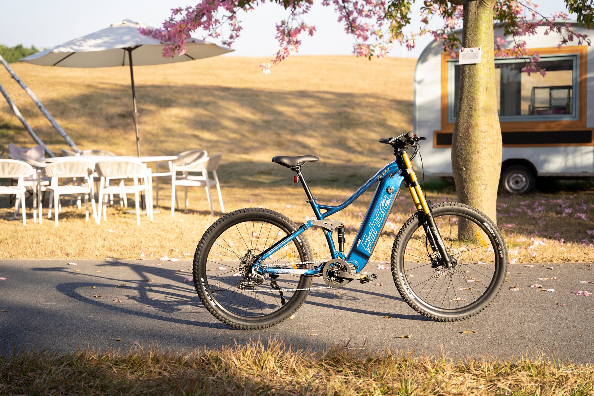 eBikes With Bafang Mid Drive Motor | Mid Drive eBike | Eahora ACE