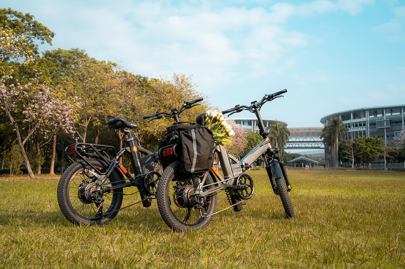 Folding Electric Bike 750w | Long Range Electric Bike | Eahora Azaria Step-Thru