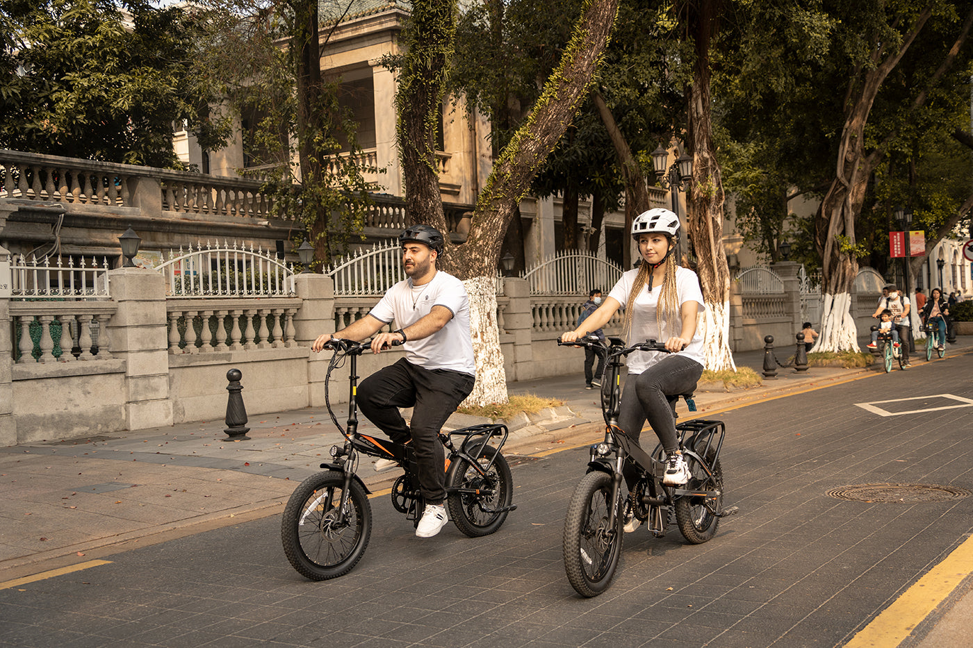 750W Folding Electric Bike | Step Thru Electric Bike | Eahora Azaria