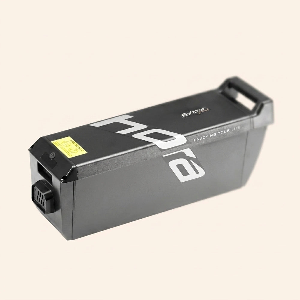 60V 80Ah Battery