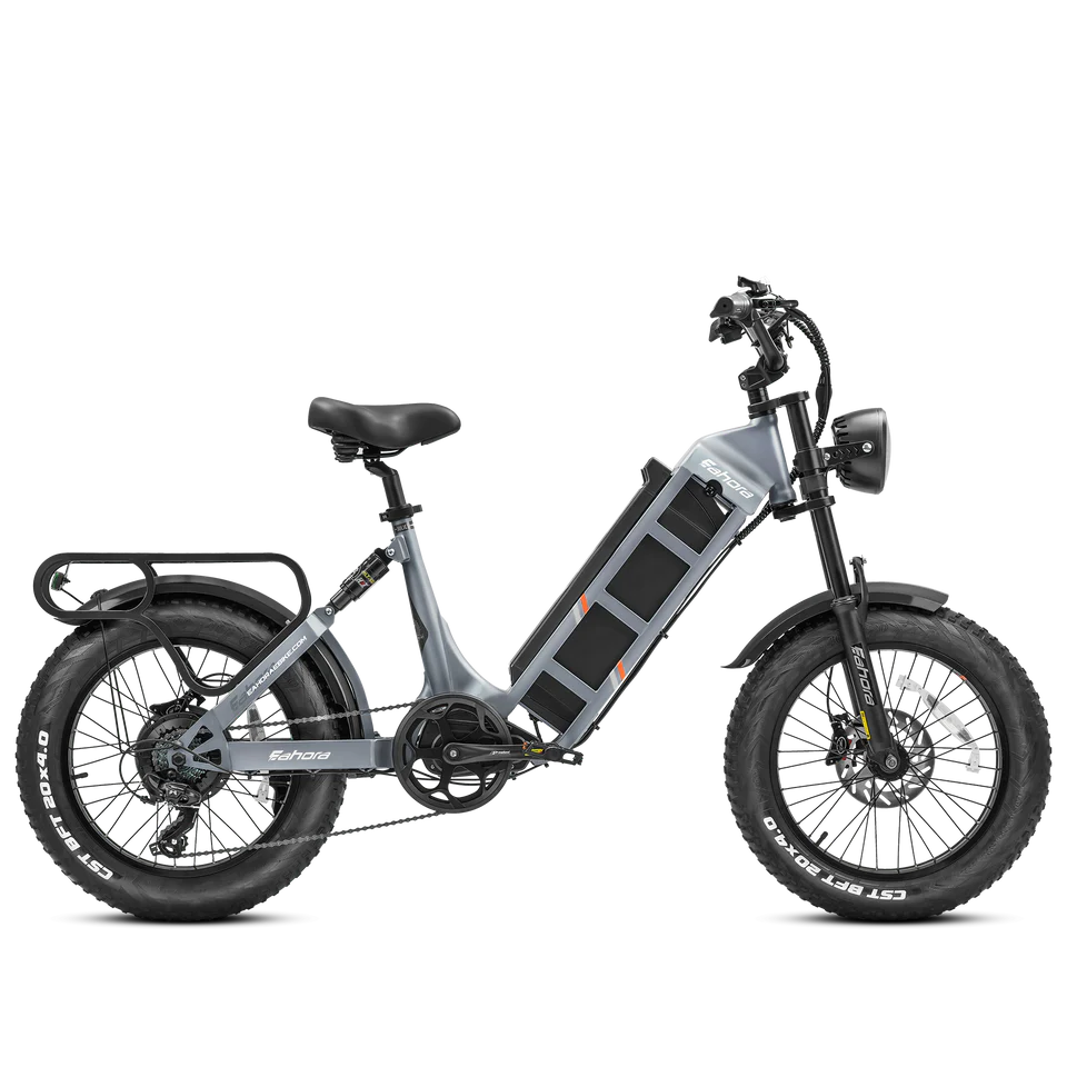 Long Range Electric Bike | Eahora Juliet Electric Bike For Sale