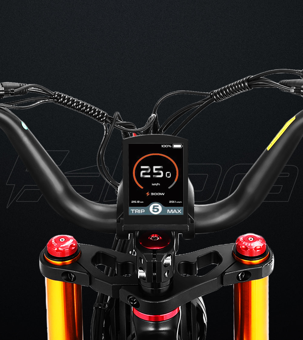 Eahora Juliet Pro Ebike - 20