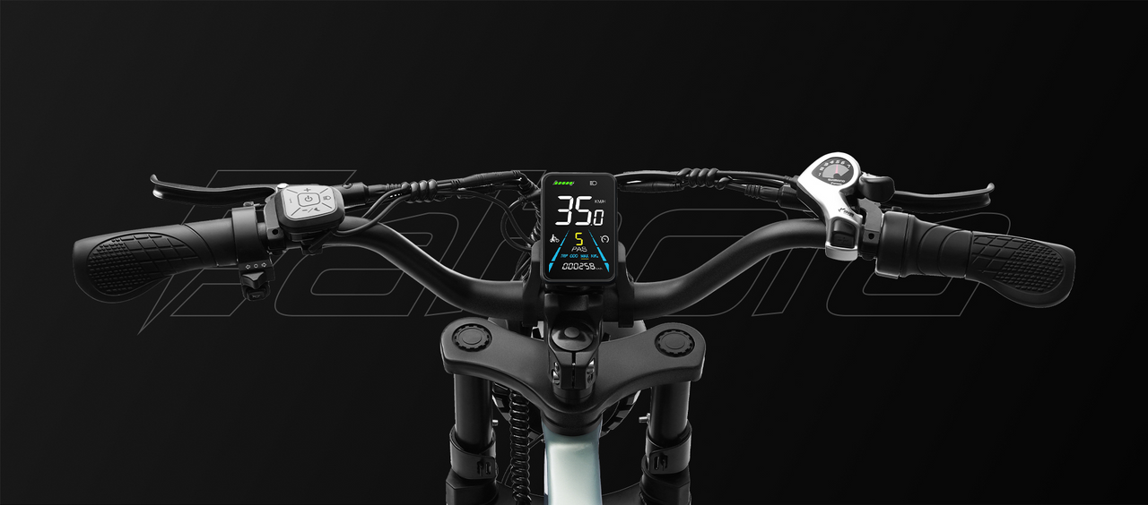 Eahora Juliet Display | Electric Bike 1000W