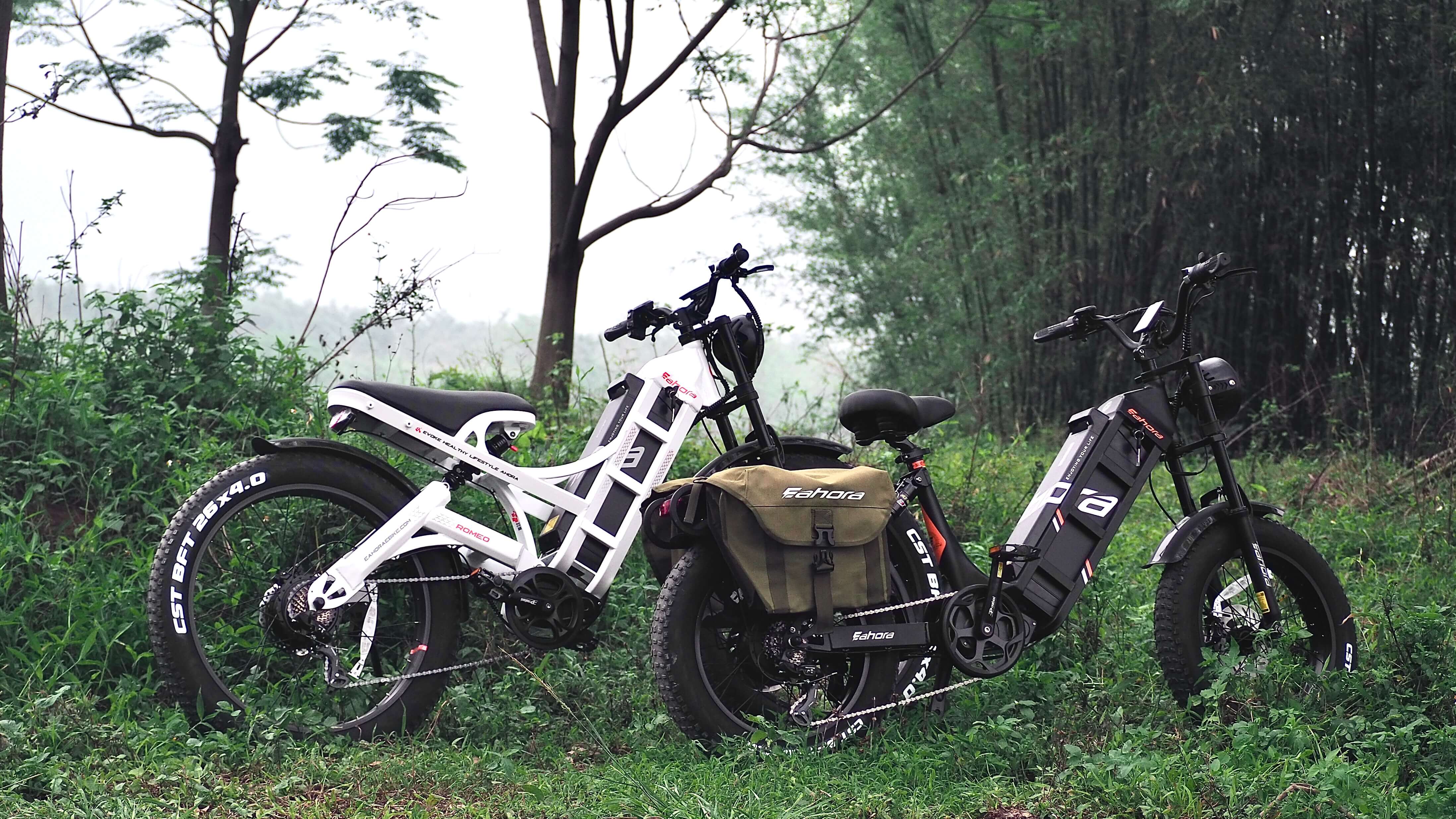 1000W Electric Bike | Moped Style Electric Bike | Eahora Romeo
