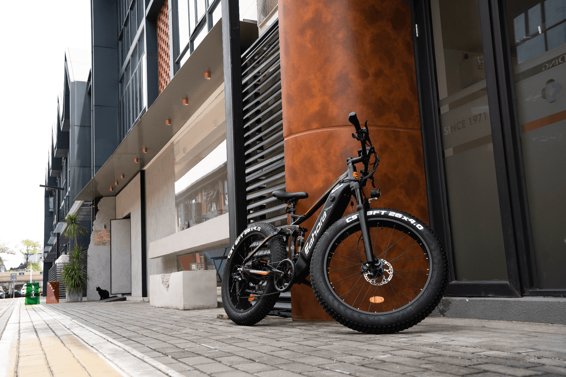 750W Electric Bike | Full Suspension Electric Mountain Bike | Eahora XC300