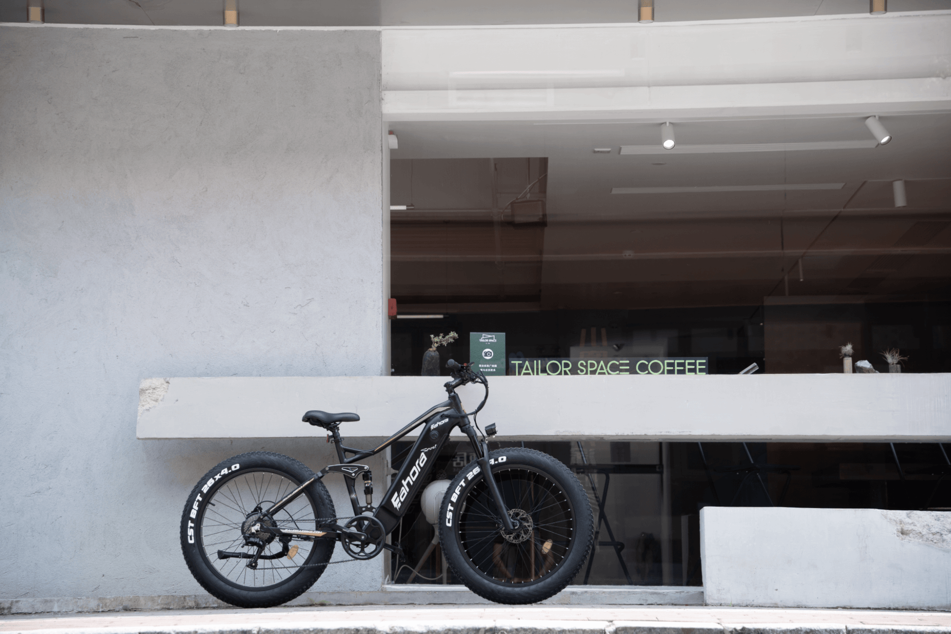 750W Electric Bike | Best Electric Mountain Bike | Eahora XC300