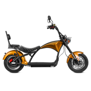 2000W Street Legal Scooters_Electric Scooter Seat_Eahora Two-seat M1_Flash Gold